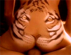 Tu lo que quieres es que te coma el tigre