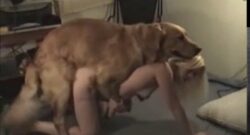 Putas penetradas por perros