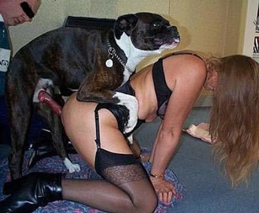mujeres teniendo sexo con perros Porno Bizarro, Sexo Extremo, Videos XXX Br...