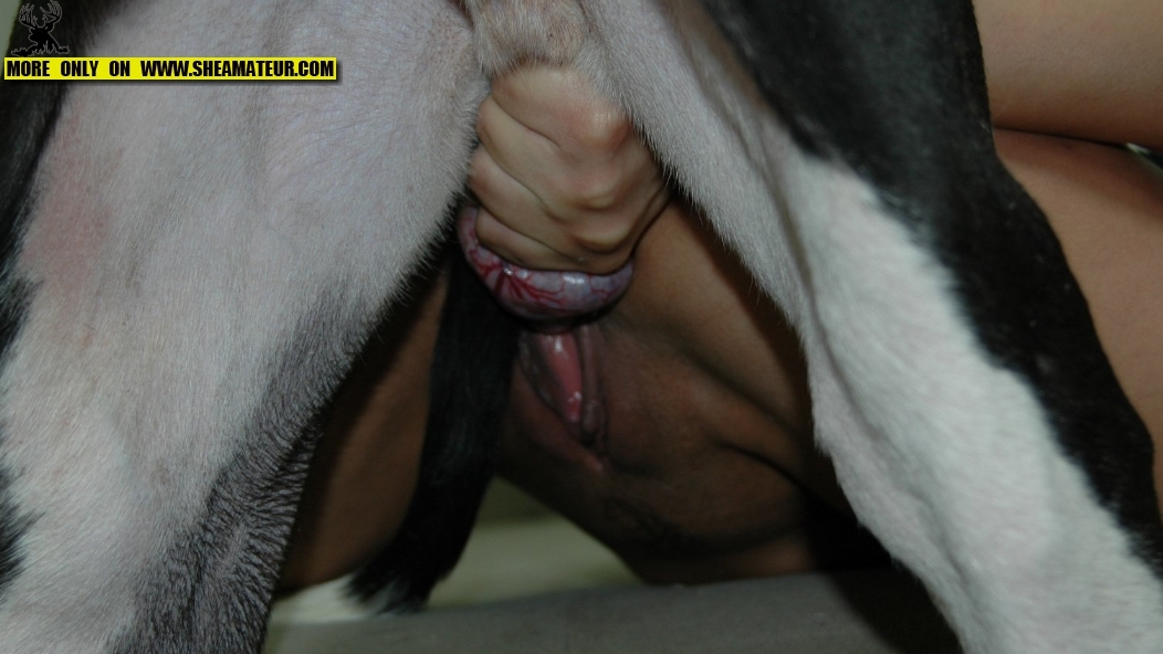 Sexoextremo con animales - 🧡 Brunette experte en bite de cheval dans le cu...