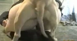 Mujer Gorda follando con su perro
