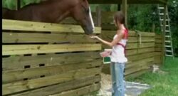 Chica se folla a un caballo