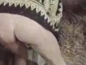 El video más bestial de un cerdo que quiere sexo con una mujer