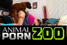 Animal XXX Videos Zoofilia perros