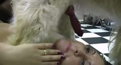 Bestiality Zoo – Putas lesbianas follan con perros