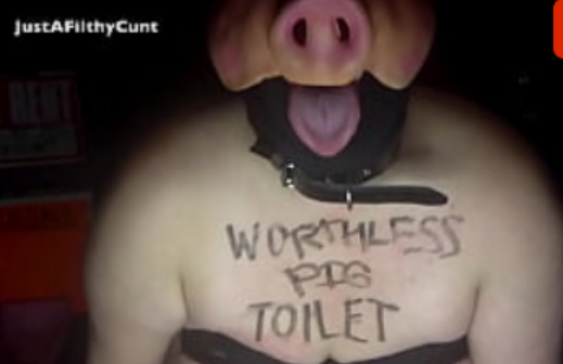 Las cerdas del porno, videos xxx cerdas, sexo cerdo bizarro